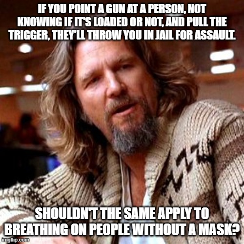 Confused Lebowski | IF YOU POINT A GUN AT A PERSON, NOT KNOWING IF IT'S LOADED OR NOT, AND PULL THE TRIGGER, THEY'LL THROW YOU IN JAIL FOR ASSAULT. SHOULDN'T THE SAME APPLY TO BREATHING ON PEOPLE WITHOUT A MASK? | image tagged in memes,confused lebowski | made w/ Imgflip meme maker