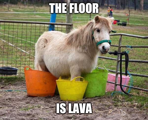 WELL THEN YOU'RE STUCK THERE | THE FLOOR; IS LAVA | image tagged in horse,the floor is lava,floor is lava | made w/ Imgflip meme maker