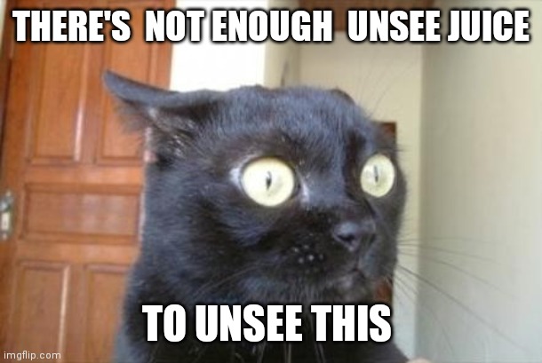 Cannot Be Unseen Cat | THERE'S  NOT ENOUGH  UNSEE JUICE TO UNSEE THIS | image tagged in cannot be unseen cat | made w/ Imgflip meme maker