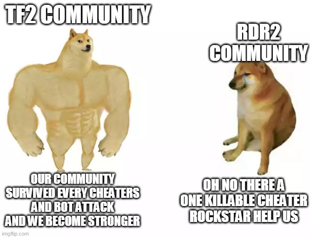 TF2 still strong | RDR2 COMMUNITY; TF2 COMMUNITY; OUR COMMUNITY SURVIVED EVERY CHEATERS AND BOT ATTACK AND WE BECOME STRONGER; OH NO THERE A ONE KILLABLE CHEATER ROCKSTAR HELP US | image tagged in buff doge vs cheems | made w/ Imgflip meme maker