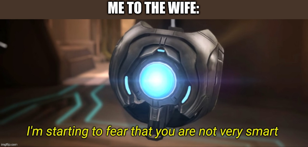 I'm starting to fear that you are not very smart | ME TO THE WIFE: | image tagged in i'm starting to fear that you are not very smart | made w/ Imgflip meme maker