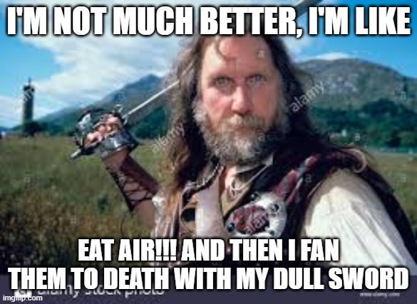 I'M NOT MUCH BETTER, I'M LIKE EAT AIR!!! AND THEN I FAN THEM TO DEATH WITH MY DULL SWORD | made w/ Imgflip meme maker