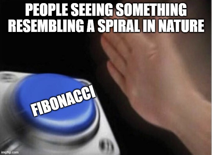 slap that button | PEOPLE SEEING SOMETHING RESEMBLING A SPIRAL IN NATURE; FIBONACCI | image tagged in slap that button,mathmemes | made w/ Imgflip meme maker