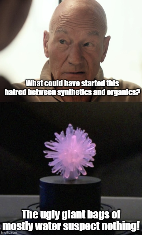 The force behind the synthetic hatred? | What could have started this hatred between synthetics and organics? The ugly giant bags of mostly water suspect nothing! | image tagged in star trek the next generation,captain picard,inorganic | made w/ Imgflip meme maker