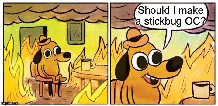 E (Harold may get a stickbug form) | Should I make a stickbug OC? | image tagged in memes,this is fine | made w/ Imgflip meme maker