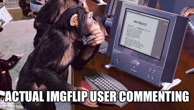 Actual Imgflip user commenting | ACTUAL IMGFLIP USER COMMENTING | image tagged in monkey computer,imgflip,user,commenting | made w/ Imgflip meme maker