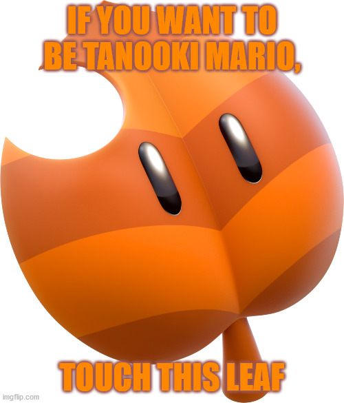 Super Leaf | IF YOU WANT TO BE TANOOKI MARIO, TOUCH THIS LEAF | image tagged in super leaf | made w/ Imgflip meme maker