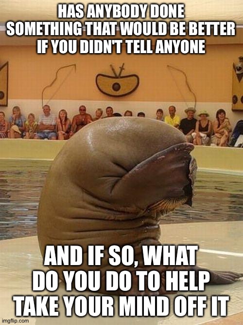 Guilty Walrus | HAS ANYBODY DONE SOMETHING THAT WOULD BE BETTER IF YOU DIDN'T TELL ANYONE; AND IF SO, WHAT DO YOU DO TO HELP TAKE YOUR MIND OFF IT | image tagged in guilty walrus | made w/ Imgflip meme maker