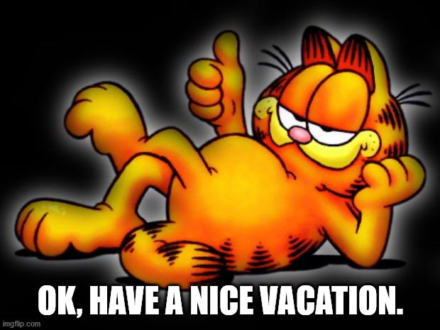 garfield thumbs up | OK, HAVE A NICE VACATION. | image tagged in garfield thumbs up | made w/ Imgflip meme maker