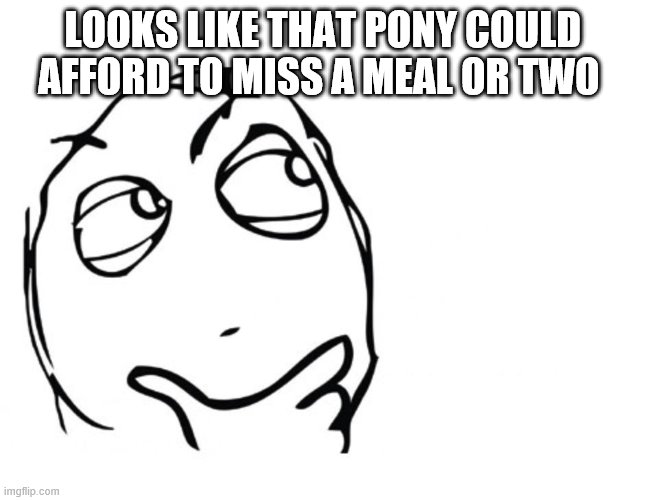 hmmm | LOOKS LIKE THAT PONY COULD AFFORD TO MISS A MEAL OR TWO | image tagged in hmmm | made w/ Imgflip meme maker