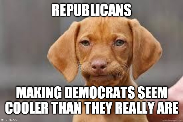 Disappointed Dog | REPUBLICANS MAKING DEMOCRATS SEEM COOLER THAN THEY REALLY ARE | image tagged in disappointed dog | made w/ Imgflip meme maker
