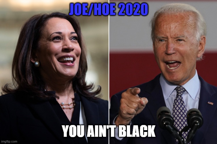 Joe/Hoe 2020 You Ain't Black | JOE/HOE 2020; YOU AIN'T BLACK | image tagged in joe biden,kamala harris,political humor | made w/ Imgflip meme maker