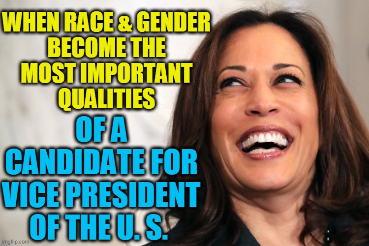 Quid Pro Ho? | WHEN RACE & GENDER

BECOME THE MOST IMPORTANT QUALITIES; OF A CANDIDATE FOR VICE PRESIDENT OF THE U. S. | image tagged in politics,political meme,kamala harris,democratic socialism,sjw,liberalism | made w/ Imgflip meme maker