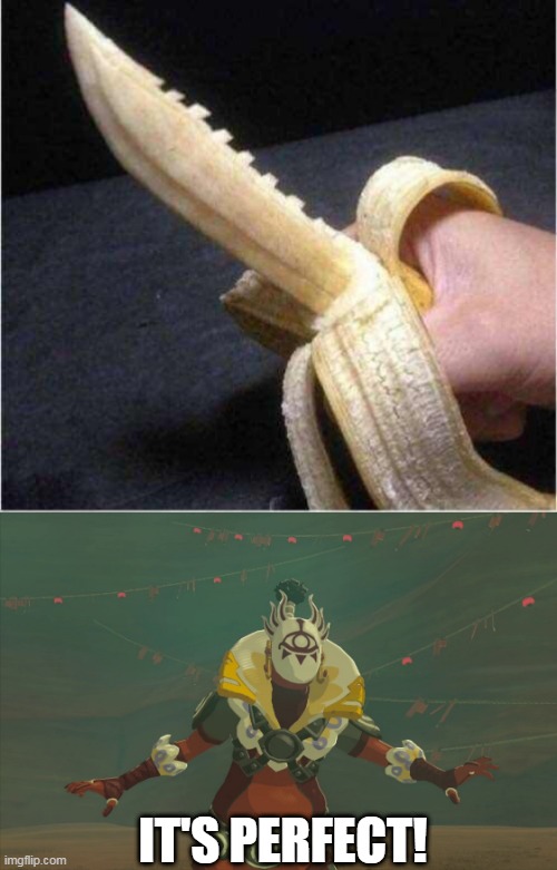 THATS WHAT THE YIGA CLAN DOES WITH ALL THOSE BANANAS | IT'S PERFECT! | image tagged in memes,the legend of zelda breath of the wild,yiga clan,banana,the legend of zelda | made w/ Imgflip meme maker