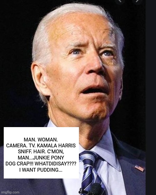 Confused Biden | MAN. WOMAN. CAMERA. TV. KAMALA HARRIS SNIFF. HAIR. C'MON, MAN...JUNKIE PONY DOG CRAP!!! WHATDIDISAY????
I WANT PUDDING... | image tagged in confused biden | made w/ Imgflip meme maker