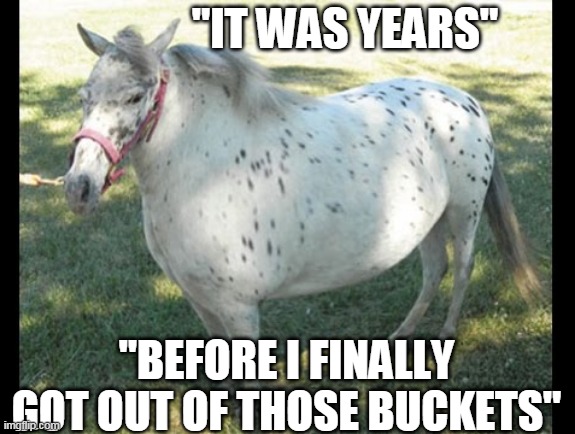 "IT WAS YEARS" "BEFORE I FINALLY GOT OUT OF THOSE BUCKETS" | made w/ Imgflip meme maker