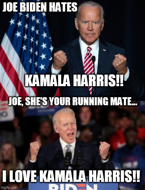Biden chooses Harris... | JOE BIDEN HATES; KAMALA HARRIS!! JOE, SHE'S YOUR RUNNING MATE... I LOVE KAMALA HARRIS!! | image tagged in biden,trump,memes,democrat,republican,kamala harris | made w/ Imgflip meme maker