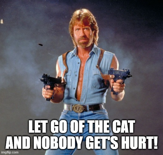 Chuck Norris Guns Meme | LET GO OF THE CAT AND NOBODY GET'S HURT! | image tagged in memes,chuck norris guns,chuck norris | made w/ Imgflip meme maker