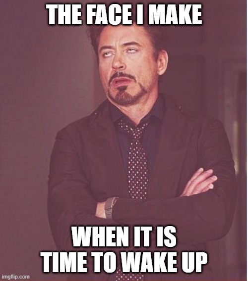 So true | THE FACE I MAKE; WHEN IT IS TIME TO WAKE UP | image tagged in memes,face you make robert downey jr | made w/ Imgflip meme maker