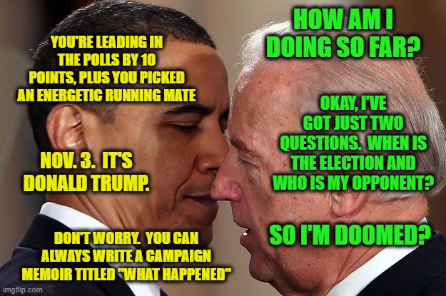 Joe Biden Checks In with Barack Obama | HOW AM I DOING SO FAR? YOU'RE LEADING IN THE POLLS BY 10 POINTS, PLUS YOU PICKED AN ENERGETIC RUNNING MATE; OKAY, I'VE GOT JUST TWO QUESTIONS.  WHEN IS THE ELECTION AND WHO IS MY OPPONENT? NOV. 3.  IT'S DONALD TRUMP. SO I'M DOOMED? DON'T WORRY.  YOU CAN ALWAYS WRITE A CAMPAIGN MEMOIR TITLED "WHAT HAPPENED" | image tagged in joe biden,barack obama,election 2020 | made w/ Imgflip meme maker