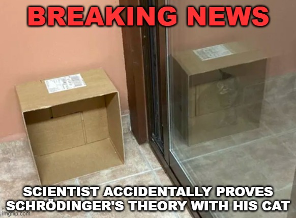 It's all in your head... | BREAKING NEWS; SCIENTIST ACCIDENTALLY PROVES SCHRÖDINGER'S THEORY WITH HIS CAT | image tagged in schrodinger,cat,quantum physics | made w/ Imgflip meme maker