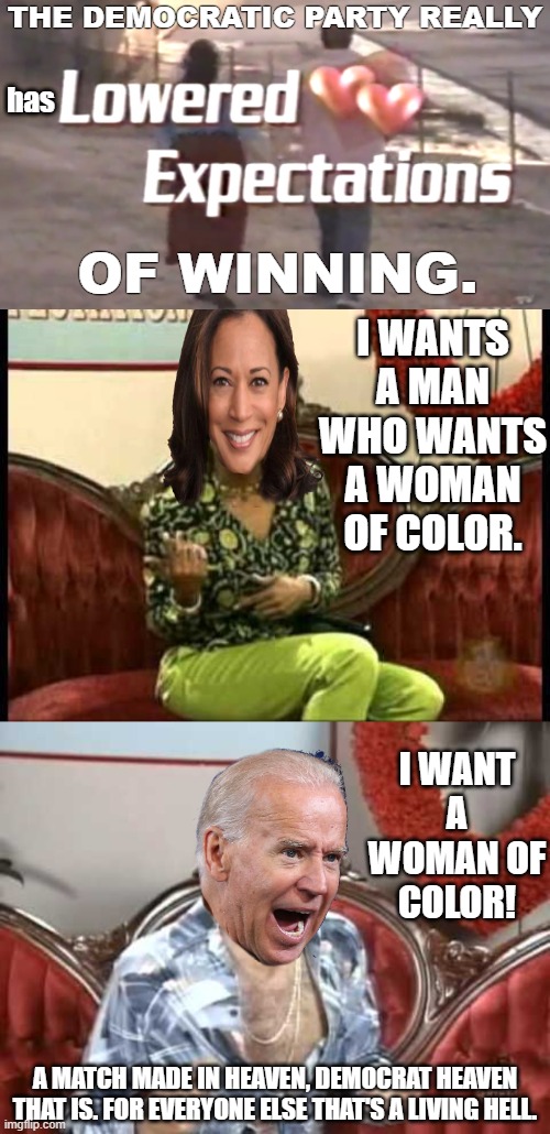 THEY MIGHT AS WELL HAVE USED A DATING AGENCY TO ARRIVE AT A  VP PICK LIKE KAMALA HARRIS. REMEMBER SHE BELIEVES BIDENS ACCUSERS | THE DEMOCRATIC PARTY REALLY; has; OF WINNING. I WANTS A MAN WHO WANTS A WOMAN OF COLOR. I WANT A WOMAN OF COLOR! A MATCH MADE IN HEAVEN, DEMOCRAT HEAVEN THAT IS. FOR EVERYONE ELSE THAT'S A LIVING HELL. | image tagged in kamala harris,biden lost,biden harris,slave owners | made w/ Imgflip meme maker