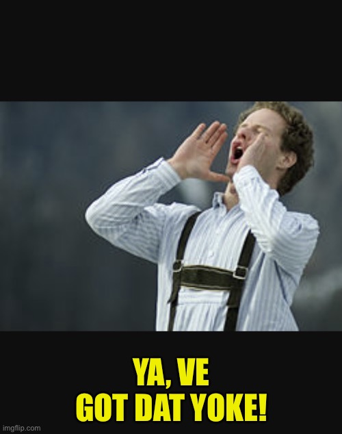 Yodel | YA, VE GOT DAT YOKE! | image tagged in yodel | made w/ Imgflip meme maker