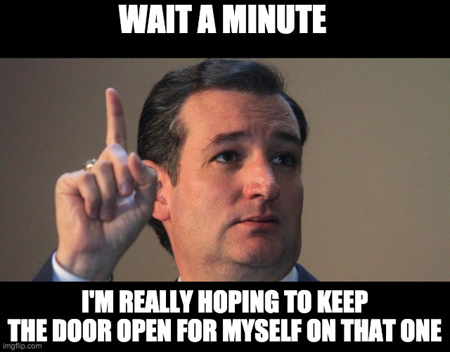 Ted Cruz | WAIT A MINUTE I'M REALLY HOPING TO KEEP THE DOOR OPEN FOR MYSELF ON THAT ONE | image tagged in ted cruz | made w/ Imgflip meme maker