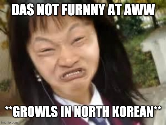 angry asian lady | DAS NOT FURNNY AT AWW **GROWLS IN NORTH KOREAN** | image tagged in angry asian lady | made w/ Imgflip meme maker