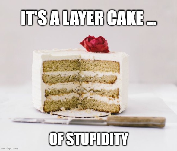 Layer cake of stupid | IT'S A LAYER CAKE ... OF STUPIDITY | image tagged in layer cake | made w/ Imgflip meme maker