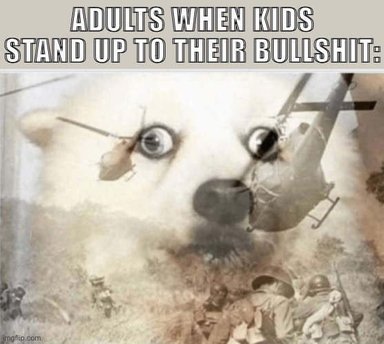 The damn_adults stream is turning into a slaughter. Damn! | ADULTS WHEN KIDS STAND UP TO THEIR BULLSHIT: | image tagged in ptsd dog,damn,adults,meanwhile on imgflip,imgflip trends,ptsd | made w/ Imgflip meme maker