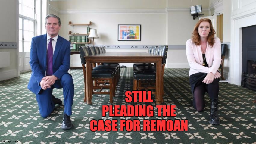 STILL PLEADING THE CASE FOR REMOAN | image tagged in corbyn's labour party,brexit,oh wow are you actually reading these tags,who would have thunk it,at least you havent sunk it,good | made w/ Imgflip meme maker