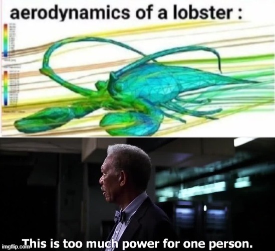 Do NOT underestimate it's power! | image tagged in memes,aerodynamics of a lobster | made w/ Imgflip meme maker