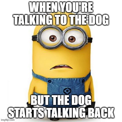 Heh, minion memes, so good | image tagged in memes,minions,dog | made w/ Imgflip meme maker