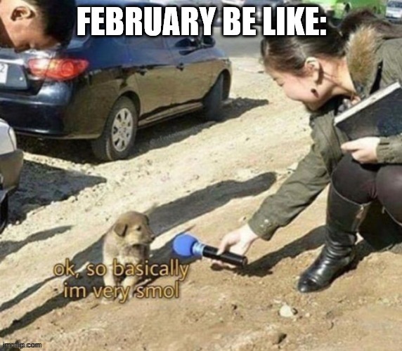 February is just smol | image tagged in memes,february,smol | made w/ Imgflip meme maker