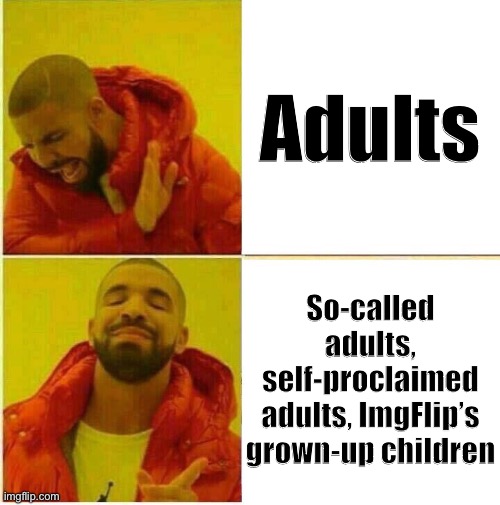A few suggestions to avoid giving certain memers more respect than they deserve. | Adults; So-called adults, self-proclaimed adults, ImgFlip’s grown-up children | image tagged in drake hotline approves,damn,adults,maturity,immature,mature | made w/ Imgflip meme maker