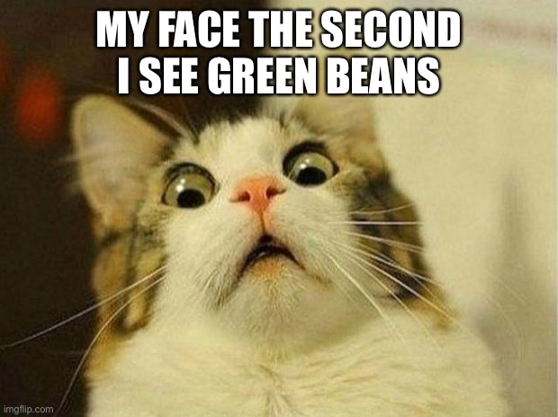 My face the second I see green beans | MY FACE THE SECOND I SEE GREEN BEANS | image tagged in memes,scared cat | made w/ Imgflip meme maker