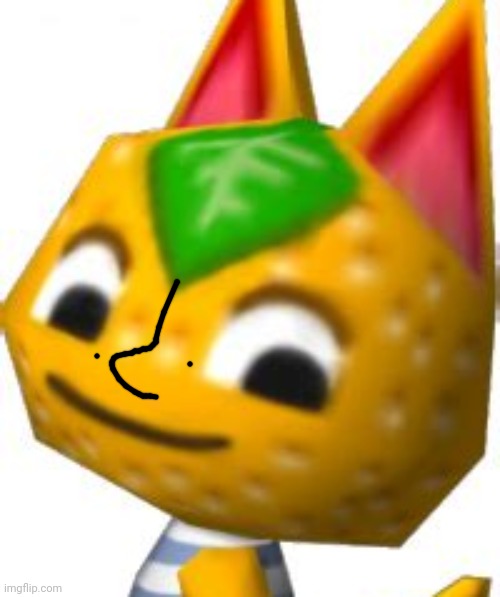 tangy??????? would you call this a cursed image | image tagged in cursed image,animal crossing,orange,cats,cursed cats | made w/ Imgflip meme maker