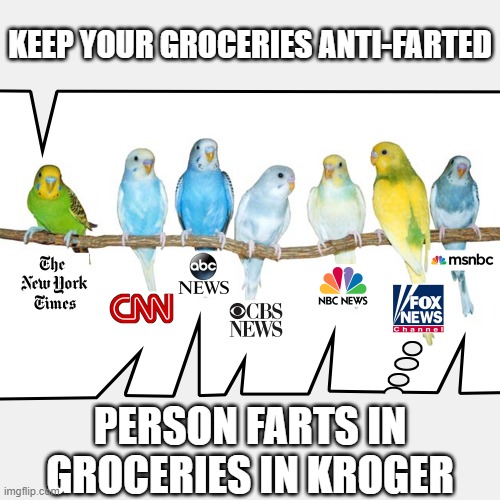 news parakeets. | KEEP YOUR GROCERIES ANTI-FARTED; PERSON FARTS IN GROCERIES IN KROGER | image tagged in parakeet msm,shopping,birds | made w/ Imgflip meme maker