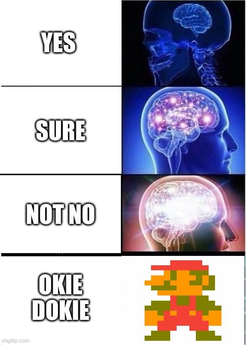 Expanding Brain | YES; SURE; NOT NO; OKIE DOKIE | image tagged in memes,expanding brain | made w/ Imgflip meme maker