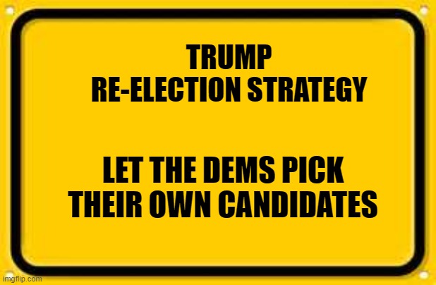 Blank Yellow Sign | TRUMP RE-ELECTION STRATEGY; LET THE DEMS PICK THEIR OWN CANDIDATES | image tagged in memes,blank yellow sign | made w/ Imgflip meme maker