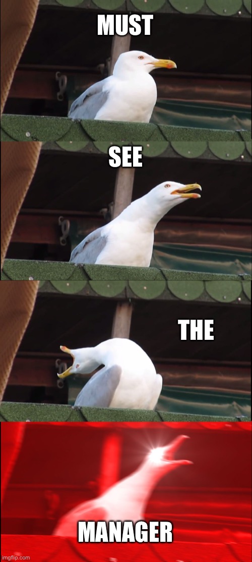 Inhaling Seagull | MUST; SEE; THE; MANAGER | image tagged in memes,inhaling seagull,funny,karen,manager | made w/ Imgflip meme maker
