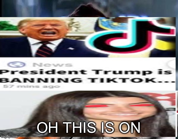 When Charli, D amelio finds out about trumps decision | OH THIS IS ON | image tagged in memes,stupid,trump | made w/ Imgflip meme maker