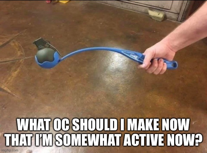 Yes, that is a grenade | WHAT OC SHOULD I MAKE NOW THAT I’M SOMEWHAT ACTIVE NOW? | made w/ Imgflip meme maker