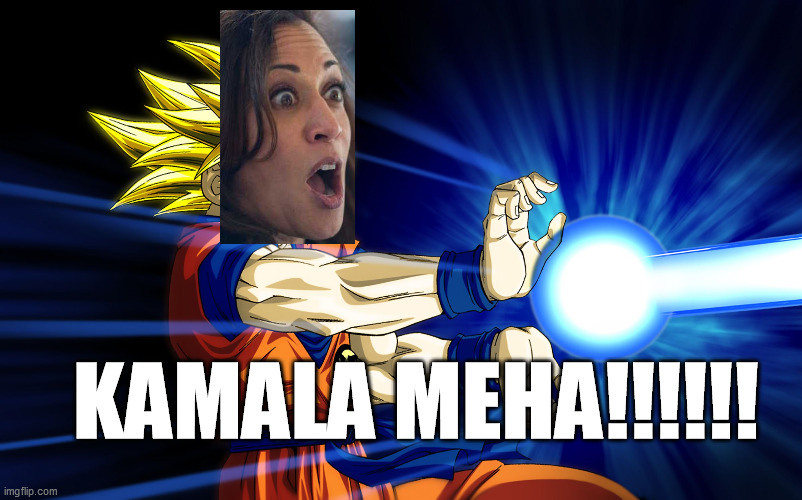 Kamehameha | KAMALA MEHA!!!!!! | image tagged in kamehameha,kamala harris | made w/ Imgflip meme maker
