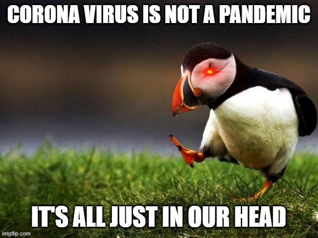 It's all in our head | image tagged in coronavirus,coronavirus meme,funny memes,don't try this at home | made w/ Imgflip meme maker