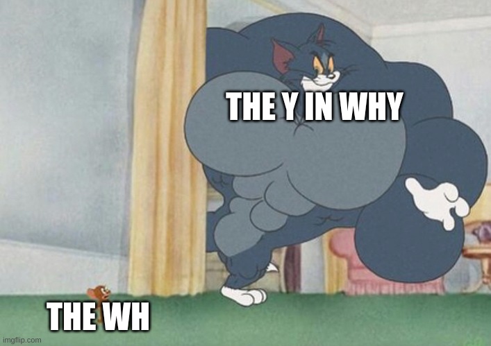 tom and jerry | THE Y IN WHY; THE WH | image tagged in tom and jerry | made w/ Imgflip meme maker