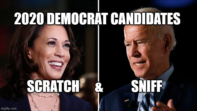 2020 Democrat Candidates | 2020 DEMOCRAT CANDIDATES; SCRATCH      &           SNIFF | image tagged in 2020 elections | made w/ Imgflip meme maker