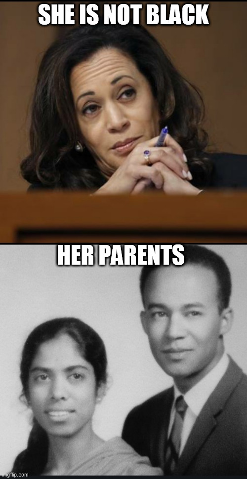 SHE IS NOT BLACK; HER PARENTS | image tagged in kamala harris | made w/ Imgflip meme maker