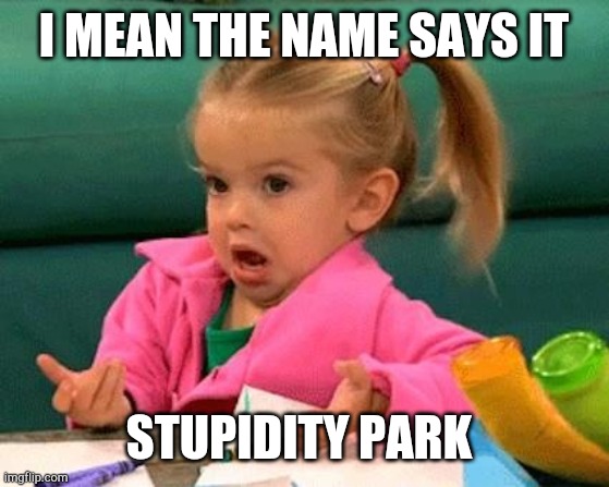I don't know (Good Luck Charlie) | I MEAN THE NAME SAYS IT STUPIDITY PARK | image tagged in i don't know good luck charlie | made w/ Imgflip meme maker